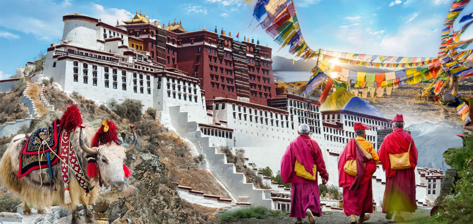 MỘT BƯỚC LÊN THIÊN ĐƯỜNG - SHANGRILA 